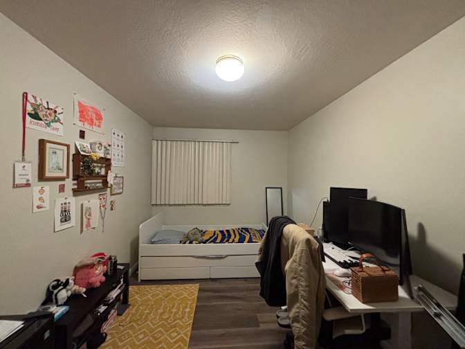 Madz's room