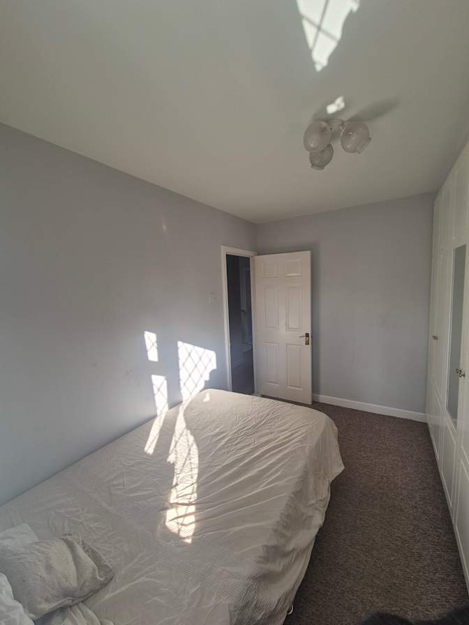 TopCat's room