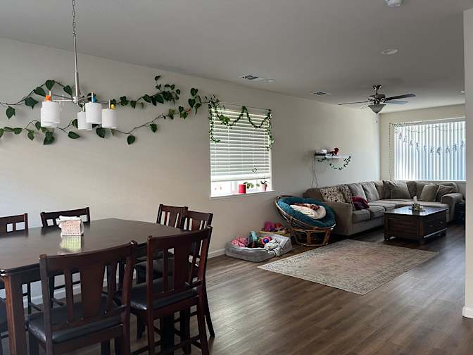 Isabelle's room