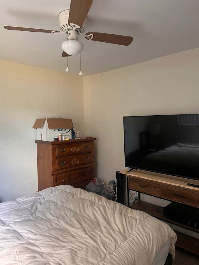 Timothy Mapes's room
