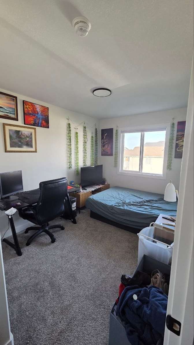 Cayden's room