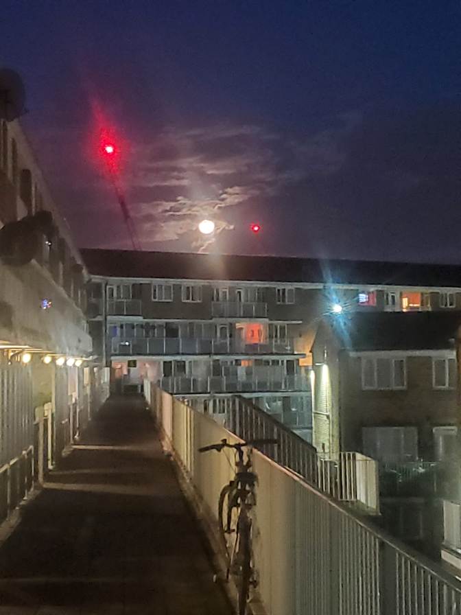 Damien's room