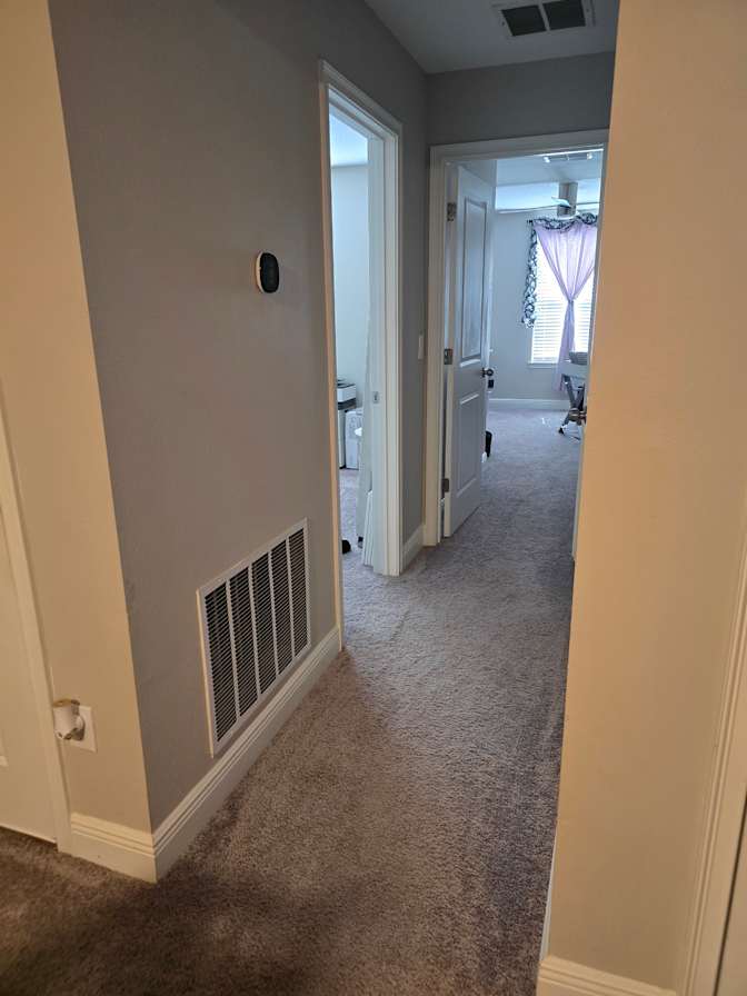 Zarabella's room