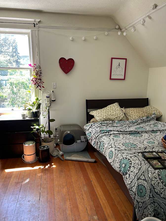 Janine's room