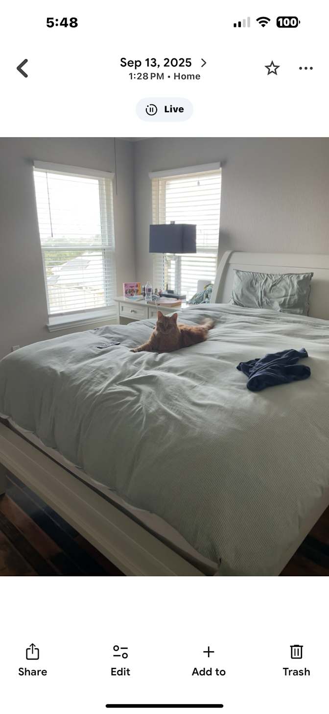 Violet Harrington's room