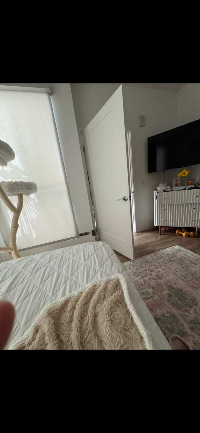 Caroline's room