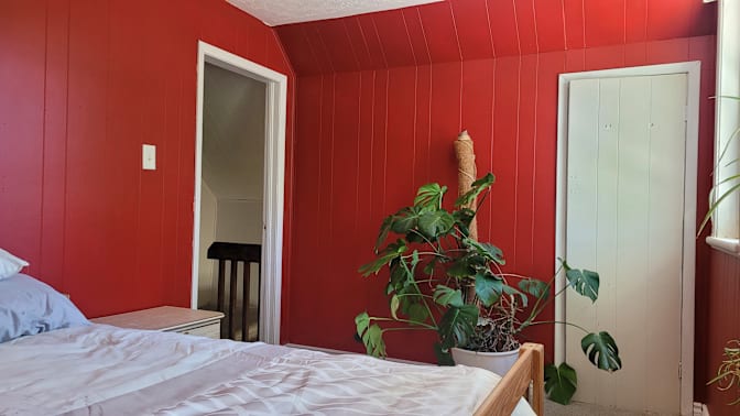 Mike Young's room