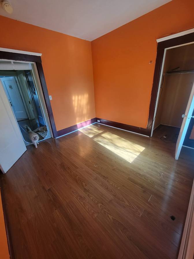 Connor pollastro's room