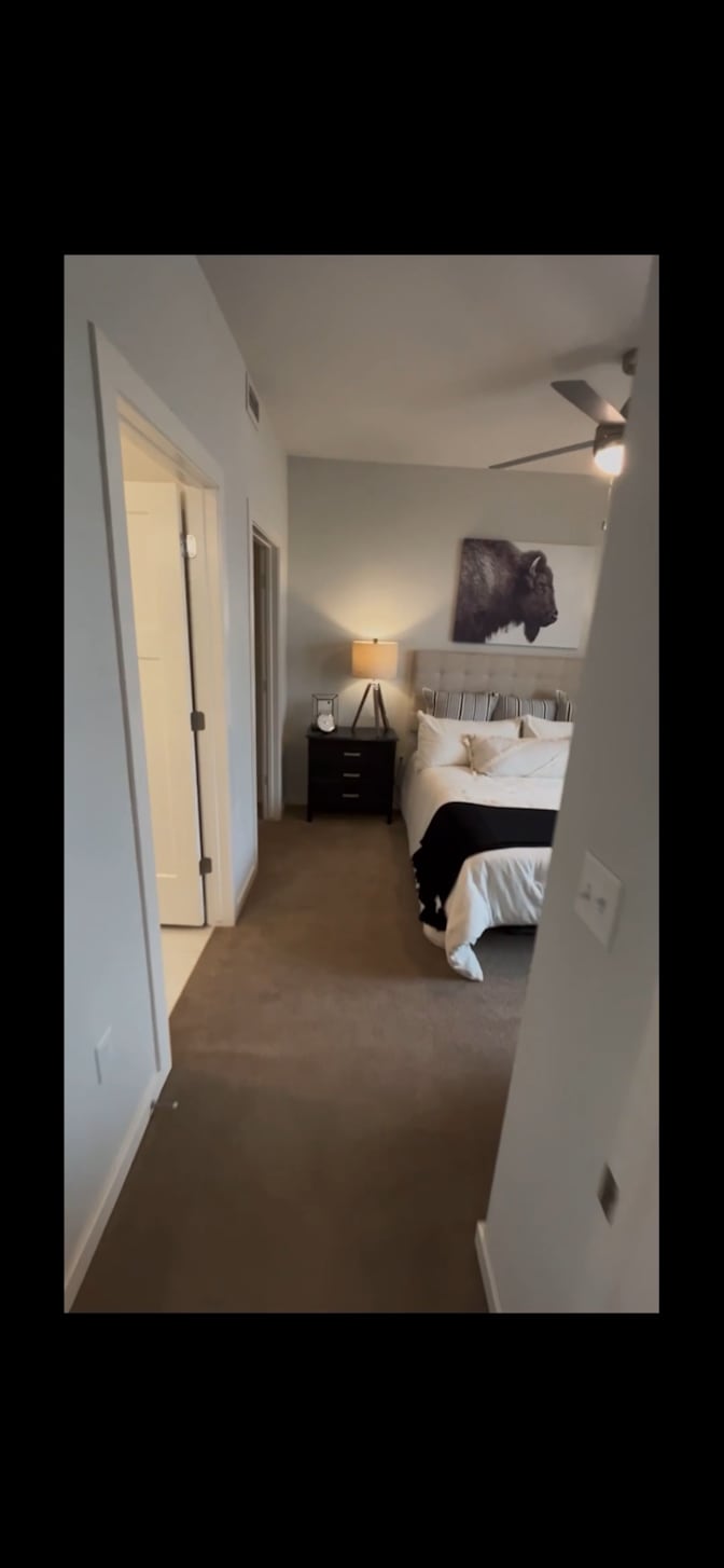 Cesar's room