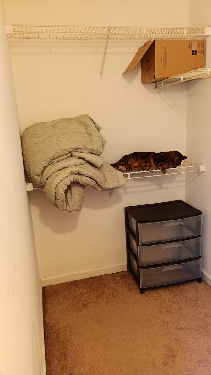 Lisa's room