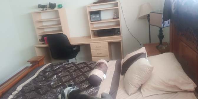 Edwin's room