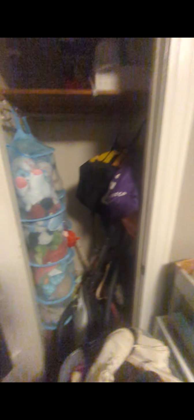 Phoenix's room