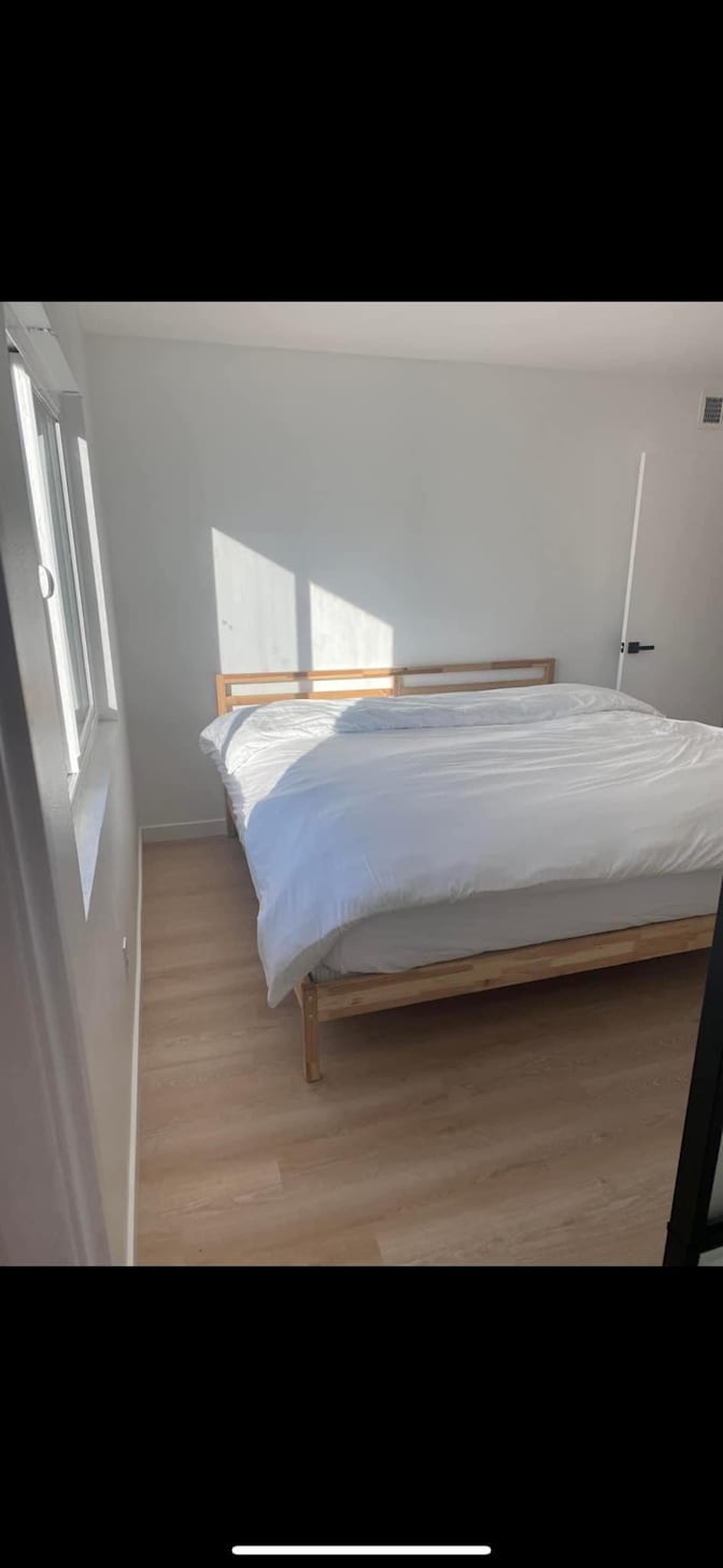 Bronzz's room