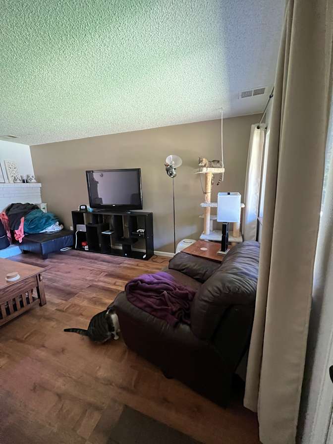 Stacy's room