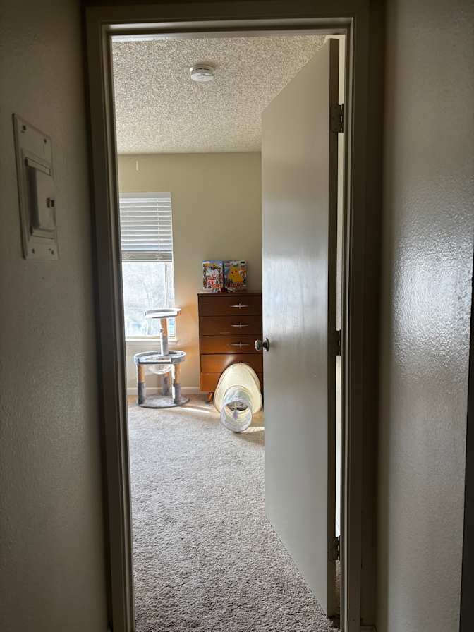 Mikaela's room