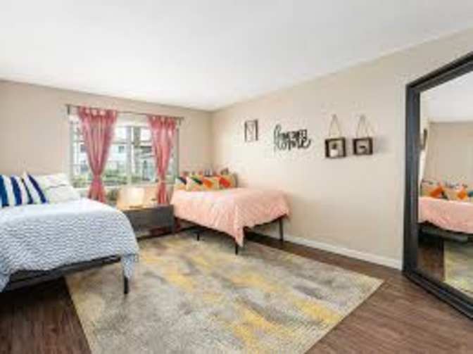 Rachel Yeddu's room