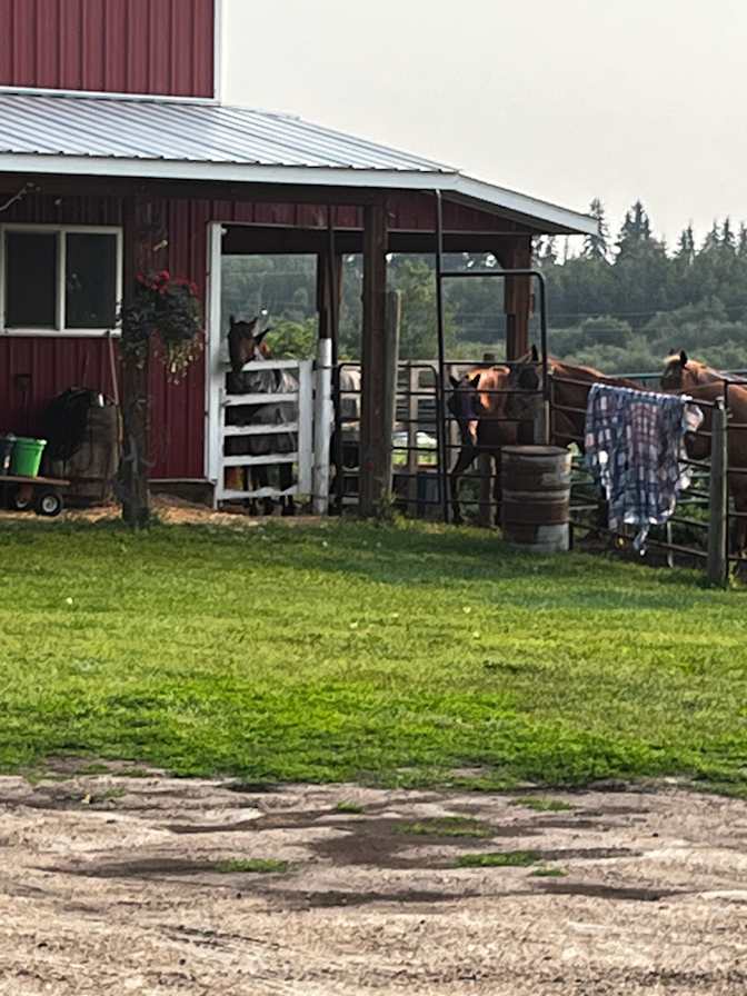 Doris Broderick's room