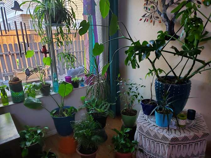 Cindi's room