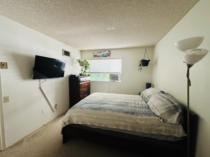 Vanessa's room