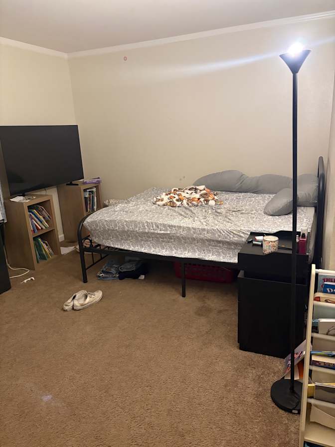 Daisy Carbis's room
