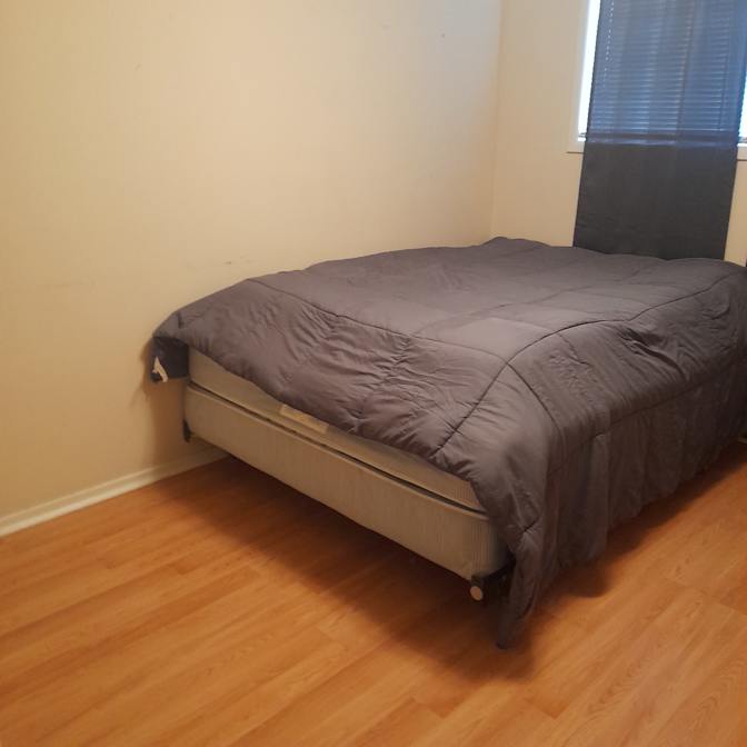 Gizzmo's room
