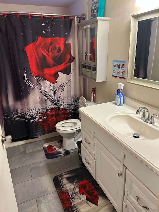 vanessa's room
