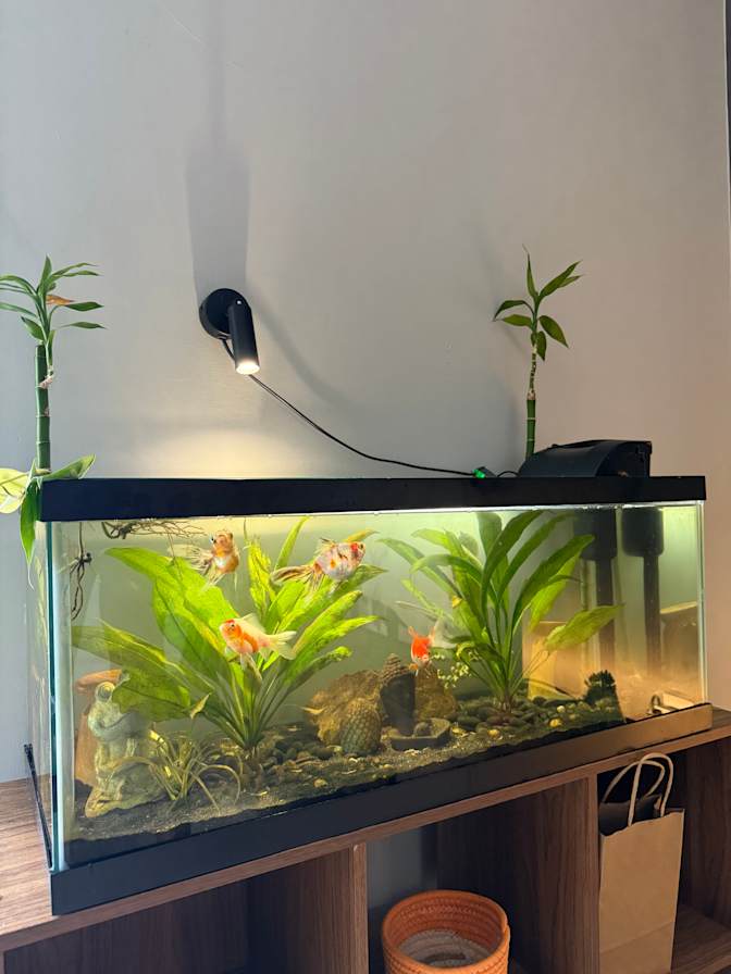 River's room