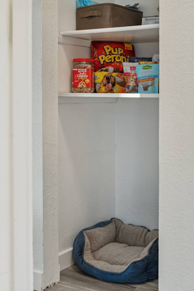 Ozzy's room