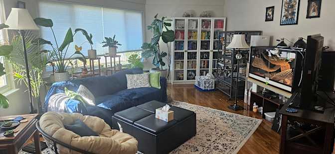 Jenn's room