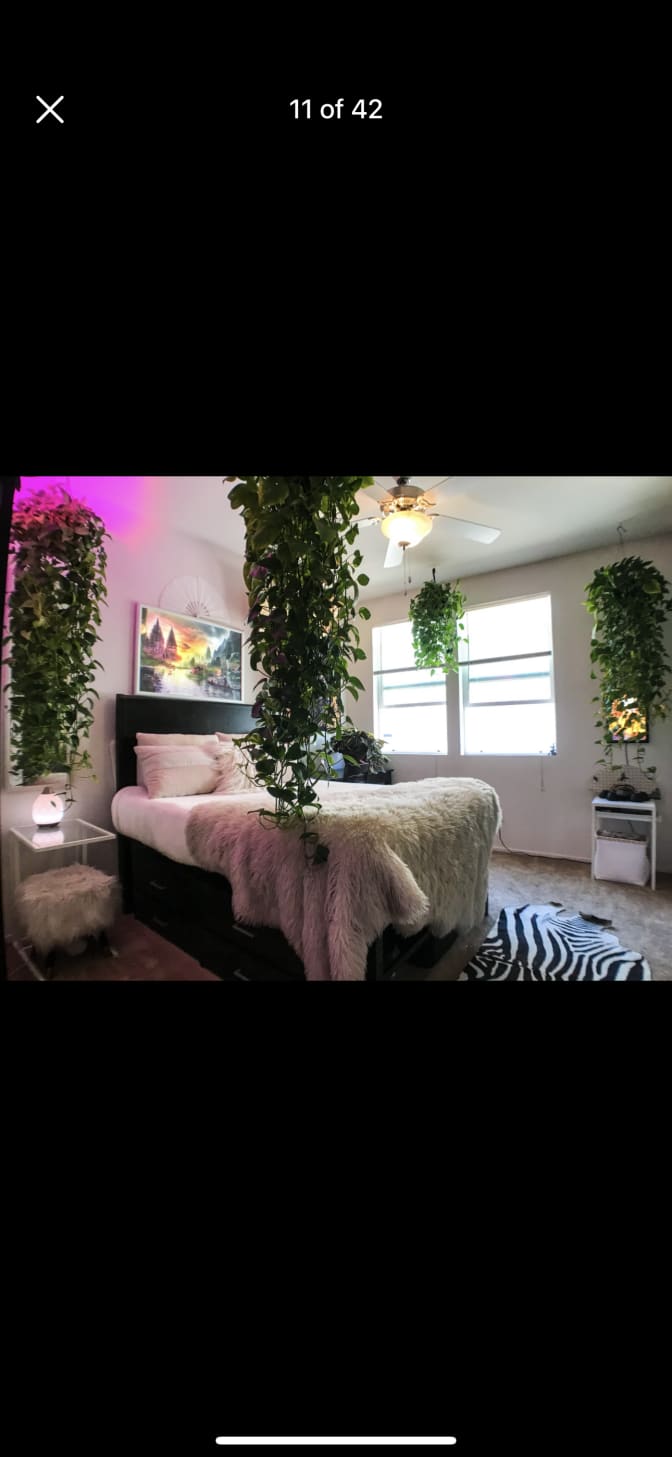 Shrishti's room