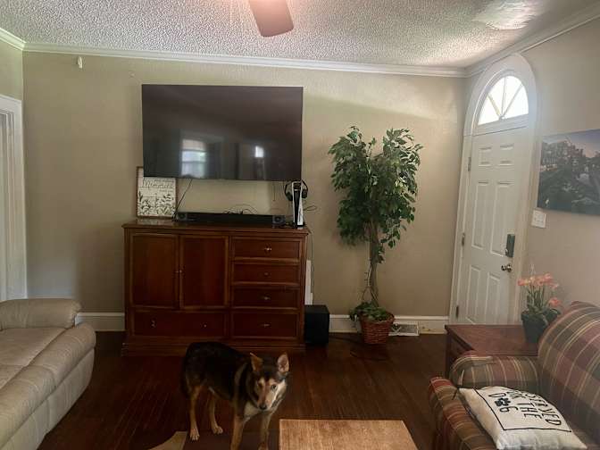Thomas's room