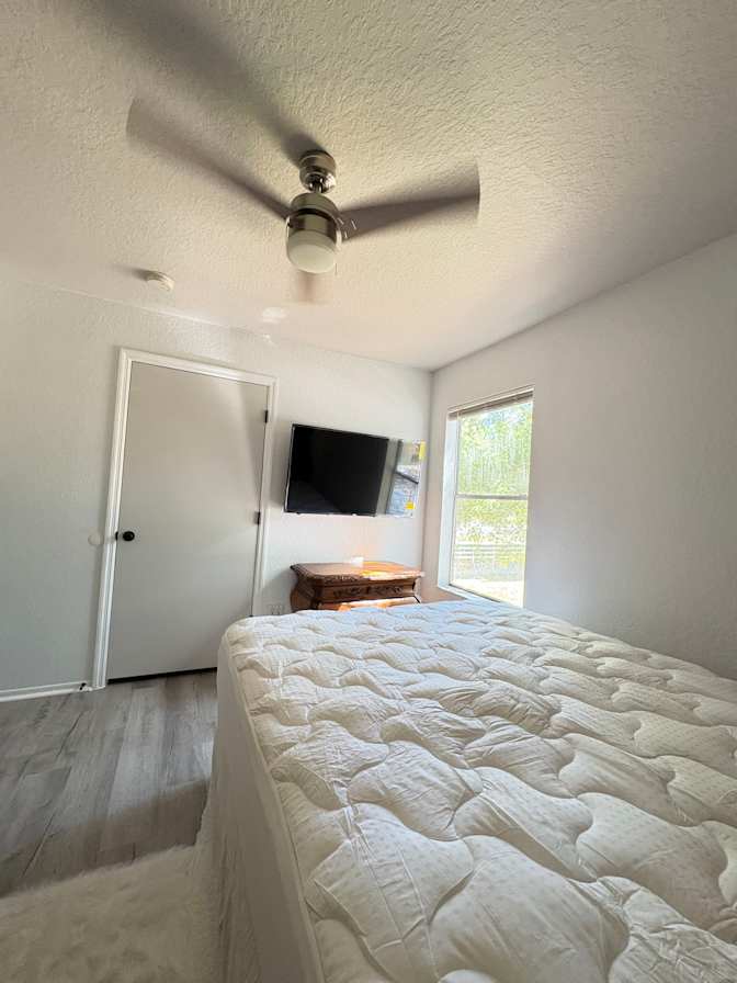 Vinny's room
