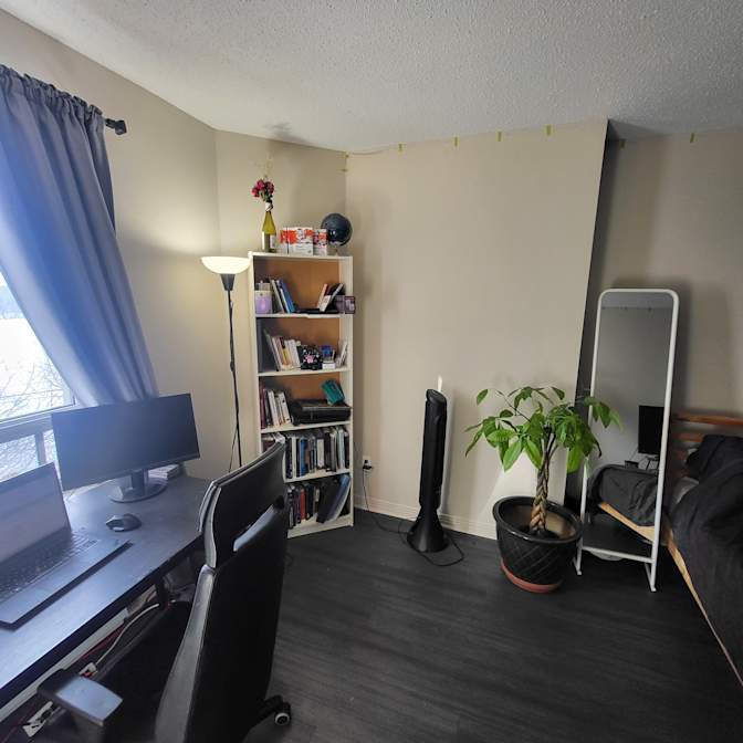 David's room