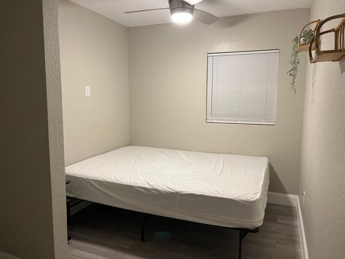 Nicollas's room