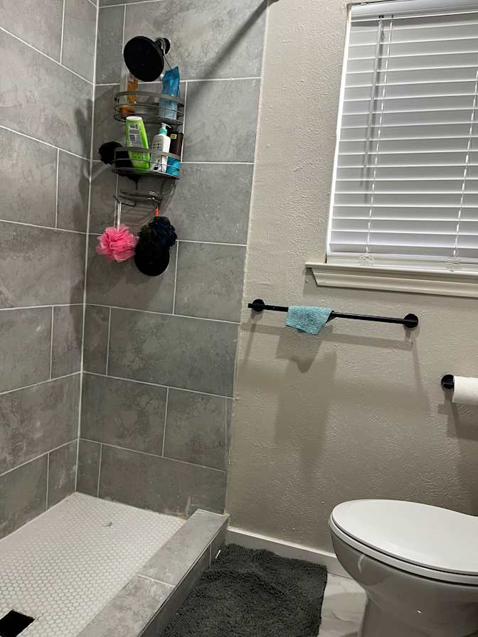 Cat's room