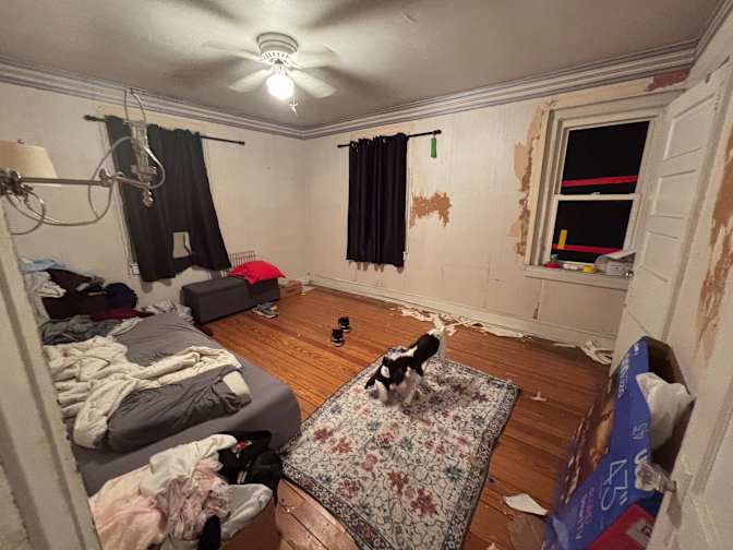 Bea's room