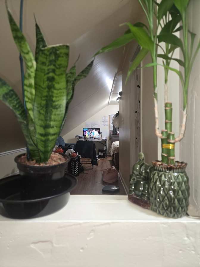 Mae's room