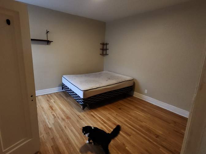 Alexander's room