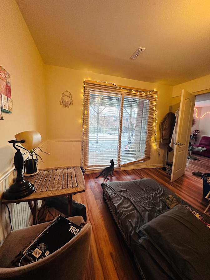 Avani's room