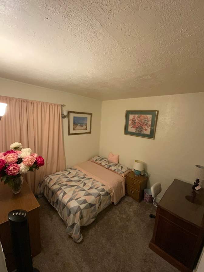 Molly's room