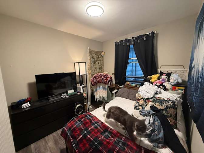 Stu's room