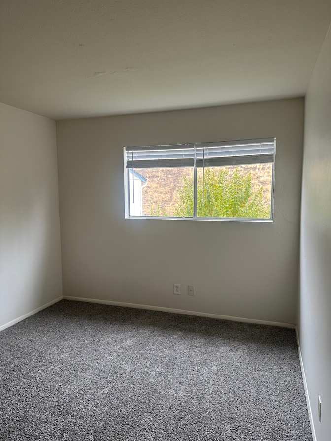 Sophia's room