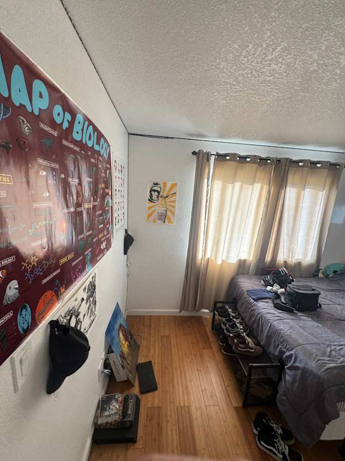 Jarl's room