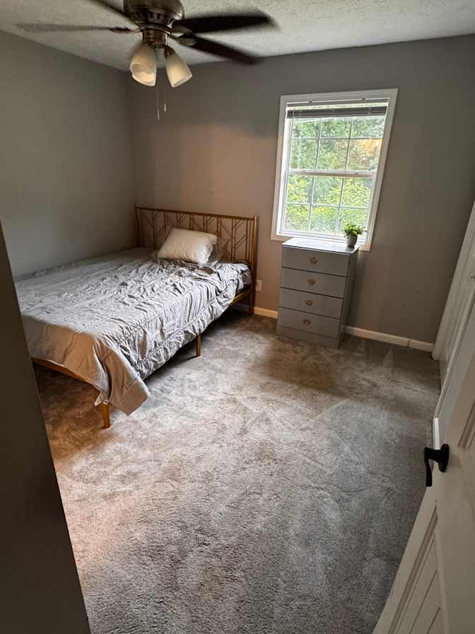 Halle's room