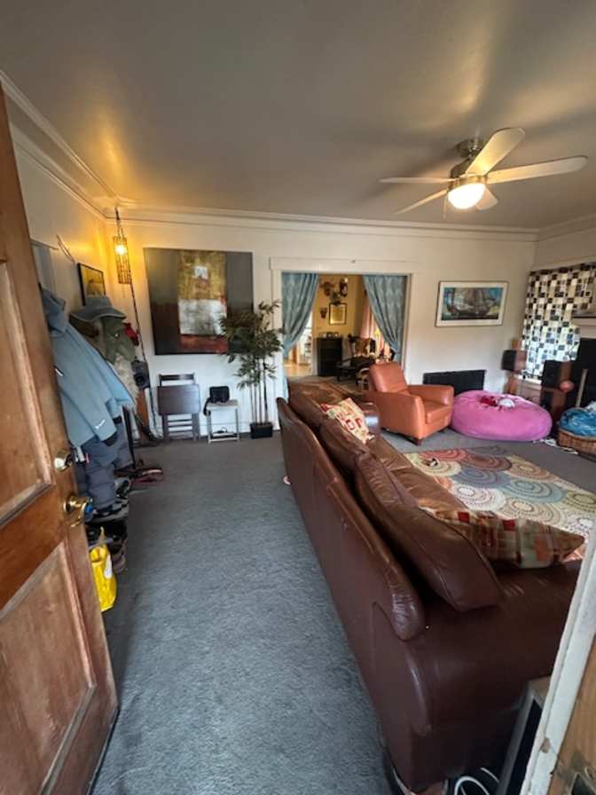 robin's room