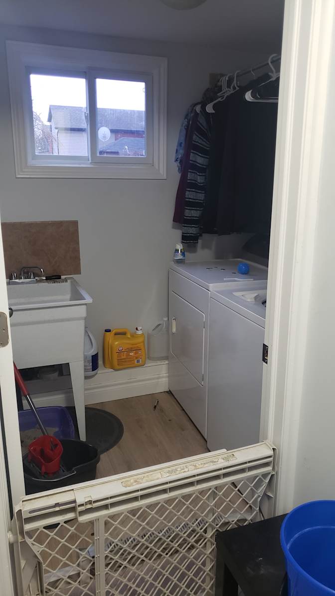 Mitch's room