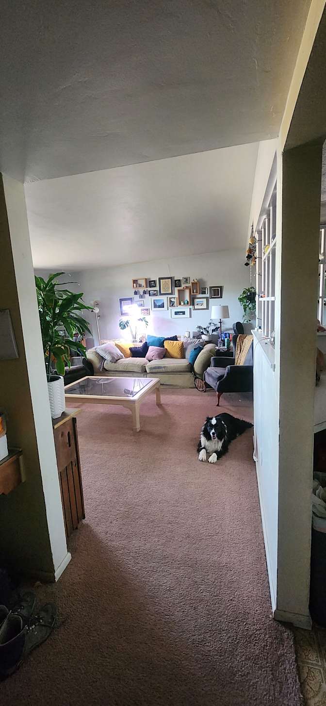 Liz Morgan's room