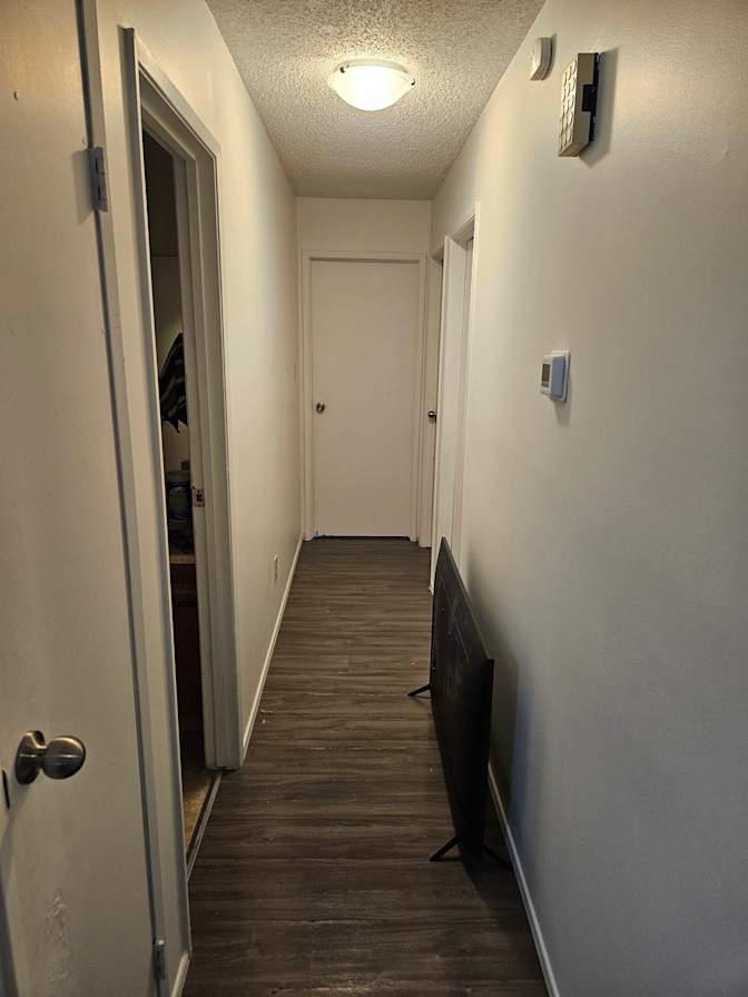Qi's room