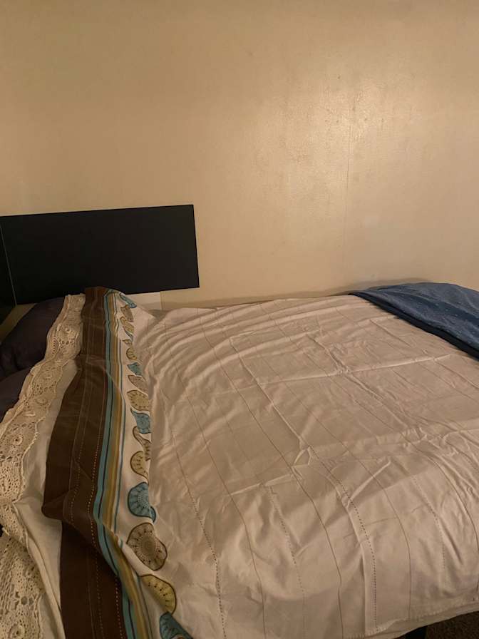 Farnaz's room