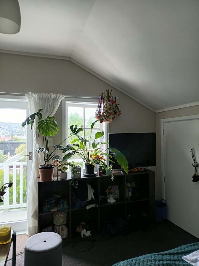 Francis's room